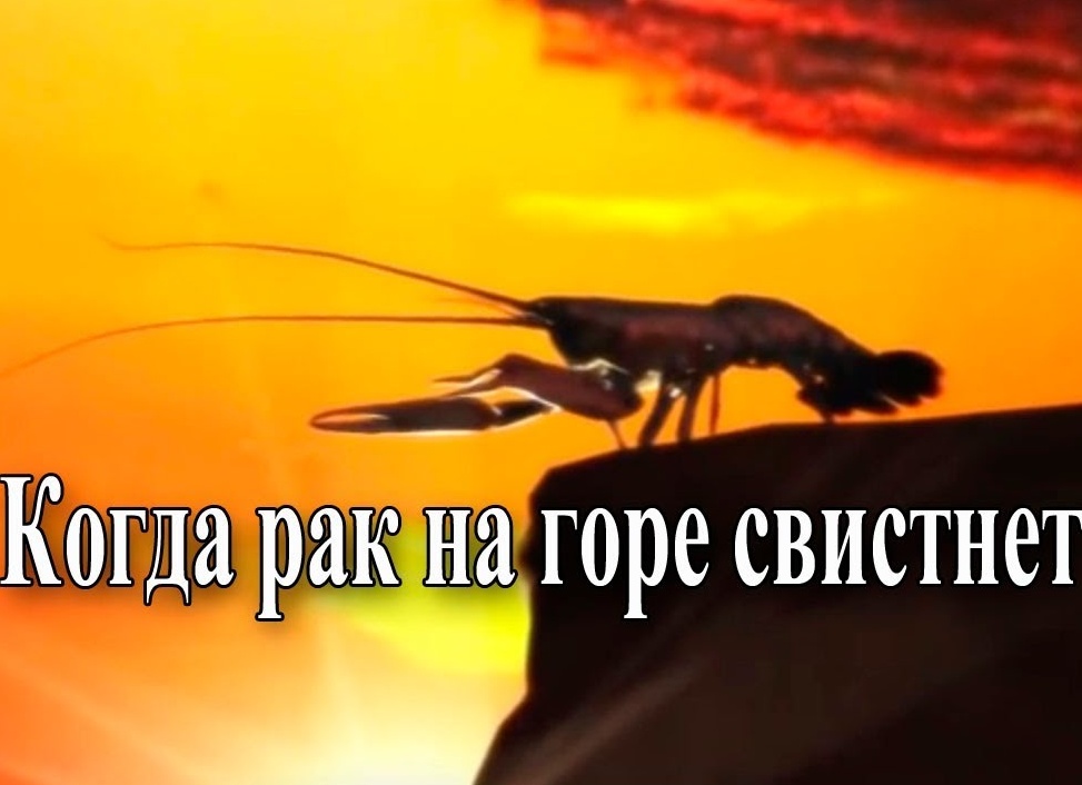 Когда рак на горе свистнет – значение фразеологизма и происхождение поговорки Когда рак на горе свистнет – значение фразеологизма и происхождение поговорки